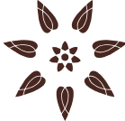 Trends You’ll Love